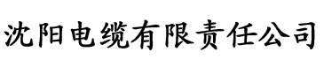 国产精品无码2021在线观看电缆厂logo